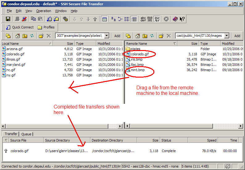 Download file from remote server to local machine ssh download