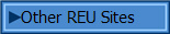 Other REU Sites