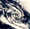 STS-67.gif (251631 bytes)