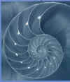nautilus2.jpg (105039 bytes)