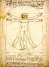 proports.jpg (66949 bytes)