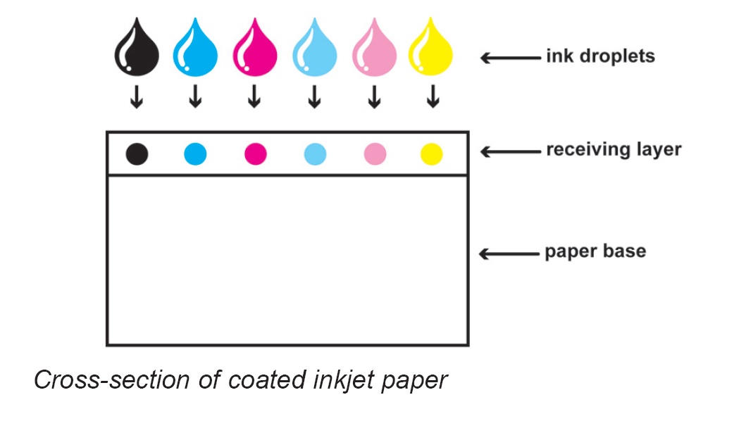 Pigment VS Dye 